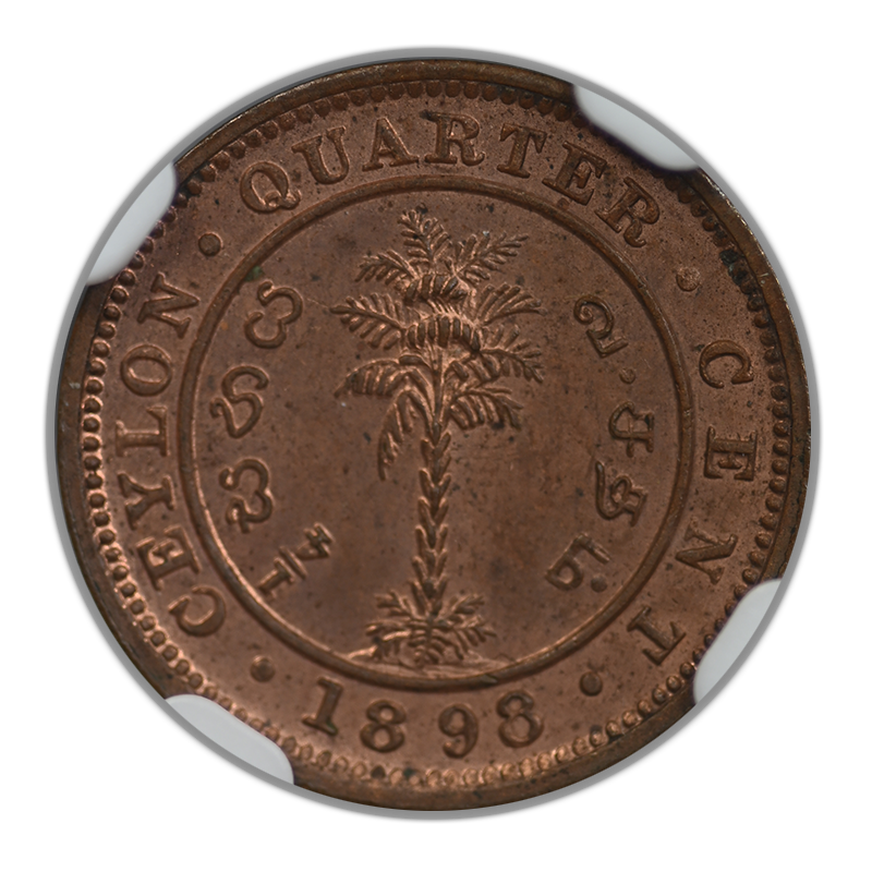 1898 Ceylon 1/4C Quarter Cent NGC MS64BN