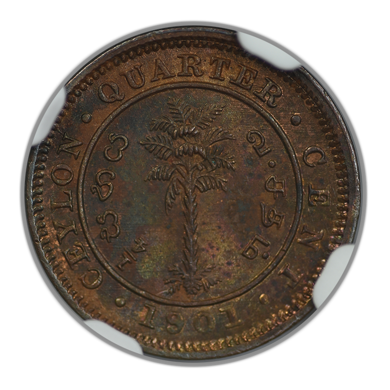 1901 Ceylon 1/4C Quarter Cent NGC MS63BN - TONED!