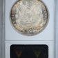 1891-O Morgan Dollar $1 ANACS Soapbox MS64 - TONED!