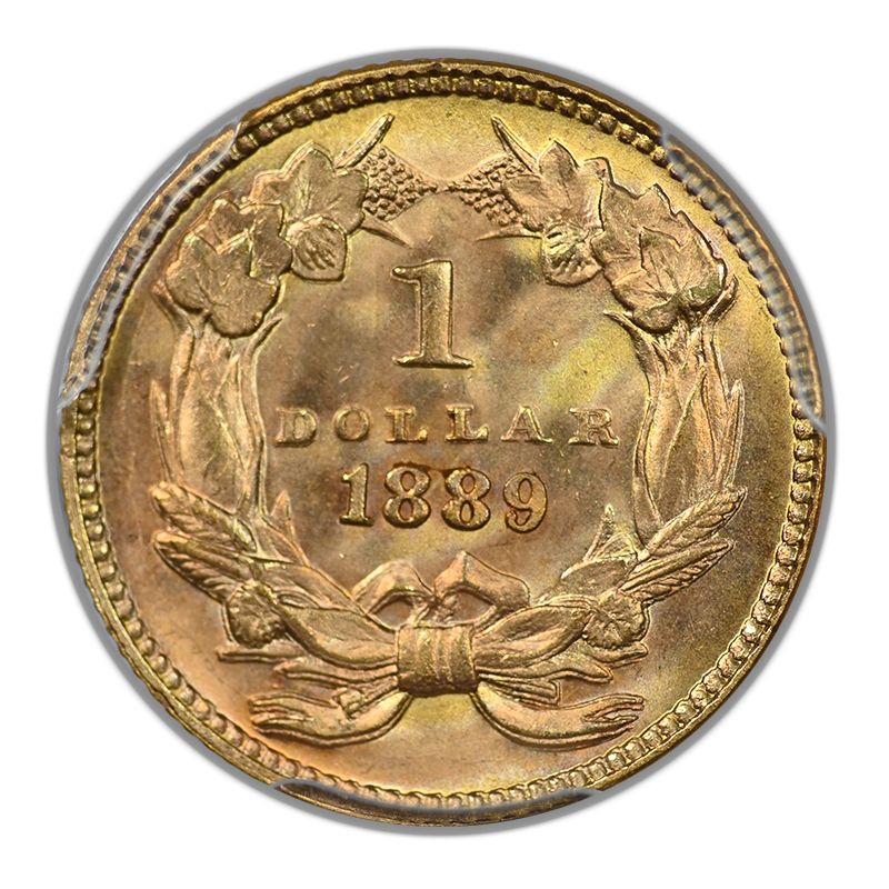 1889 Type 3 Indian Princess Head Gold Dollar G$1 PCGS MS67