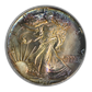 1987 American Silver Eagle $1 PCGS MS67 - TONED!