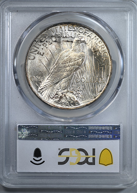 1923 Peace Dollar $1 PCGS MS64+ TOP 50 VAM 1B, Extra Hair