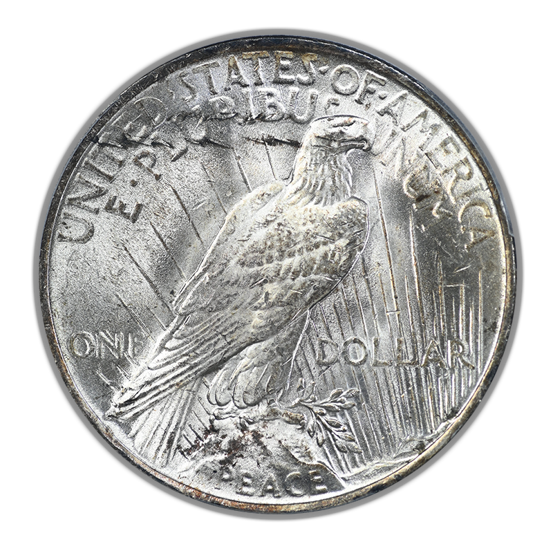 1923 Peace Dollar $1 PCGS MS64+ TOP 50 VAM 1B, Extra Hair