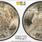 1923 Peace Dollar $1 PCGS MS64+ TOP 50 VAM 1B, Extra Hair