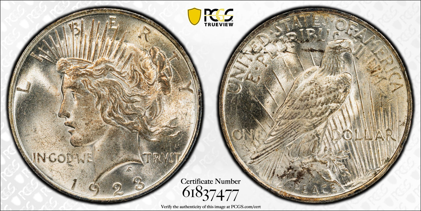 1923 Peace Dollar $1 PCGS MS64+ TOP 50 VAM 1B, Extra Hair