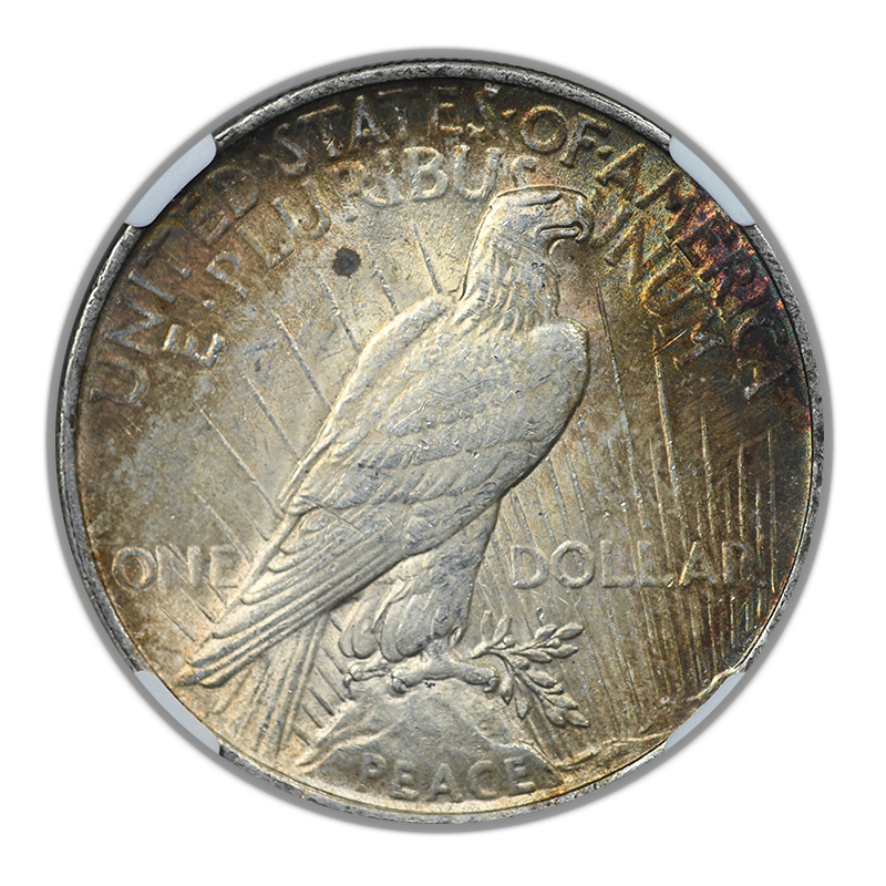 1922 Peace Dollar $1 NGC MS62 - TONED!