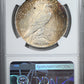 1922 Peace Dollar $1 NGC MS62 - TONED!