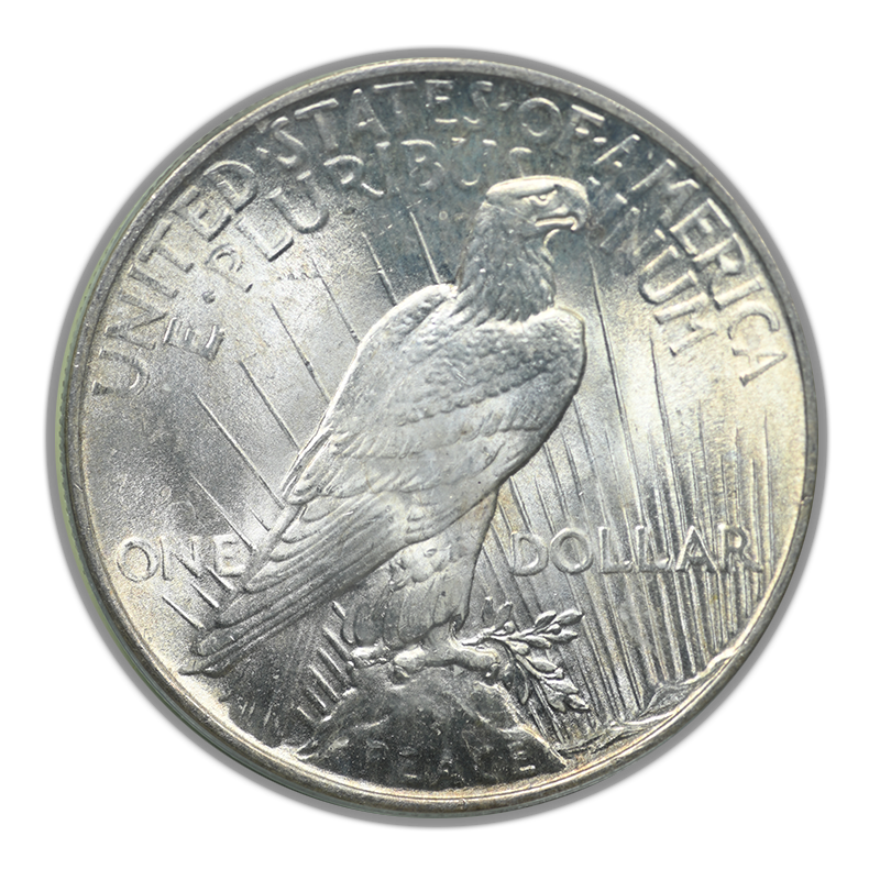 1925 Peace Dollar $1 PCGS MS65 OGH