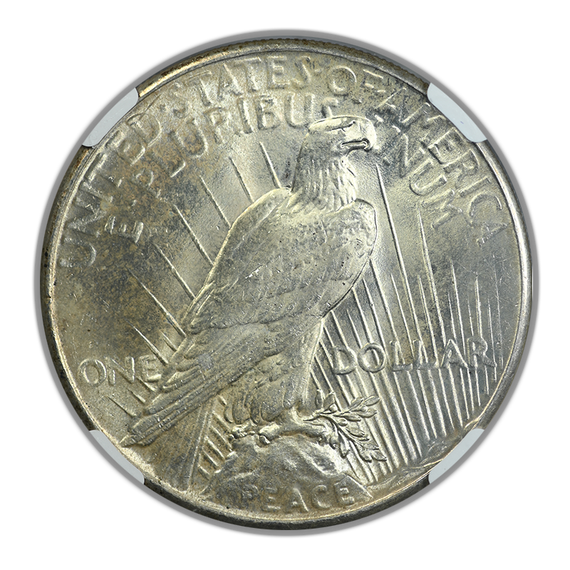 1925 Peace Dollar $1 NGC MS66 Reverse