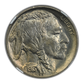 1913 Type 1 Buffalo Nickel 5C NGC MS65 Obverse
