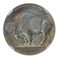 1914-D Buffalo Nickel 5C NGC AU50 CAC - TONED!