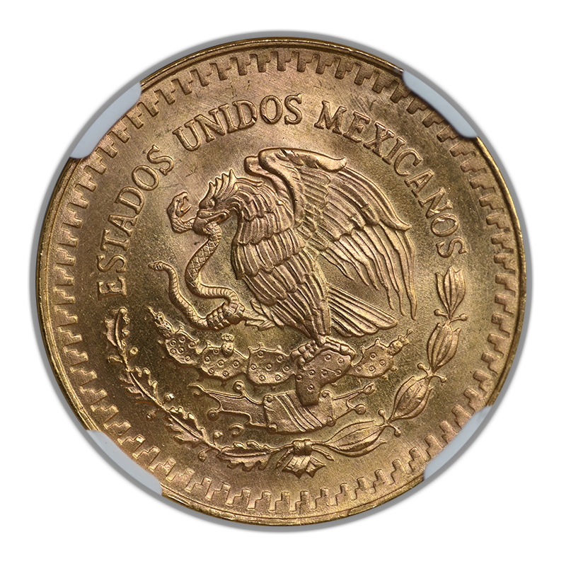 1981 Mo Mexico Gold 1/2 Onza NGC MS68