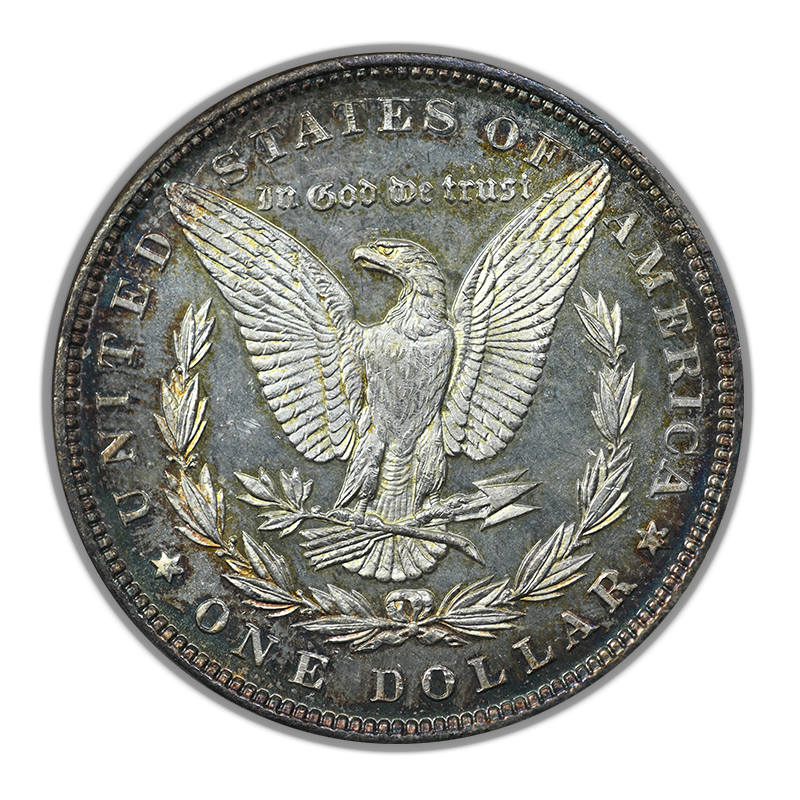 1896 Morgan Dollar $1 NGC Fatty MS64DPL - Deep Mirror Proof Like Reverse