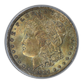 1884-O Morgan Dollar $1 PCGS Rattler MS64 CAC - TONED!