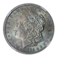 1884-O Morgan Dollar $1 NGC MS65 - TONED!