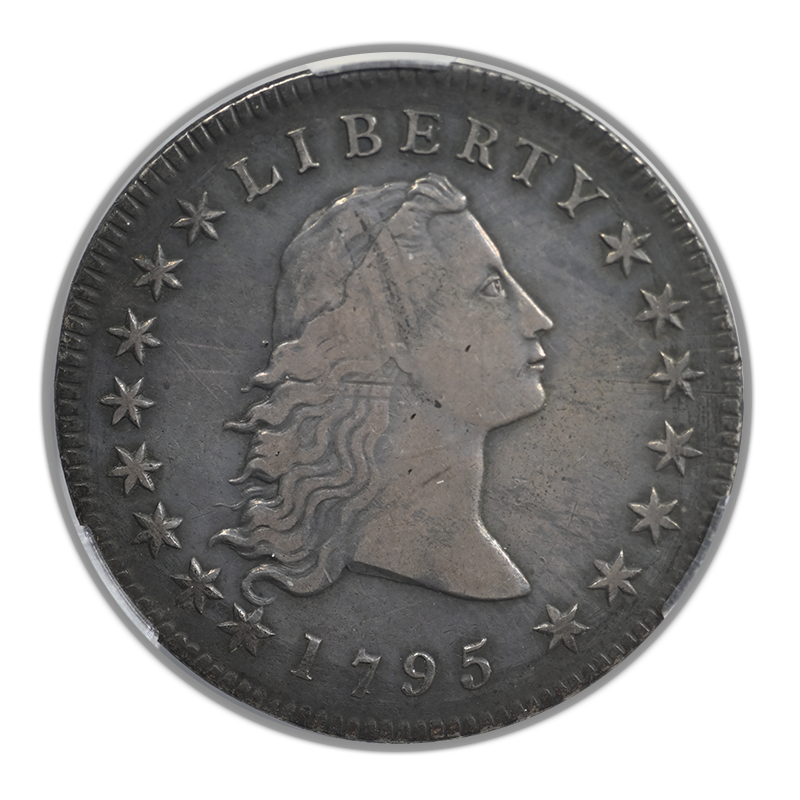 1795 Flowing Hair Dollar $1 CAC XF40 - 2 Leaves Obverse