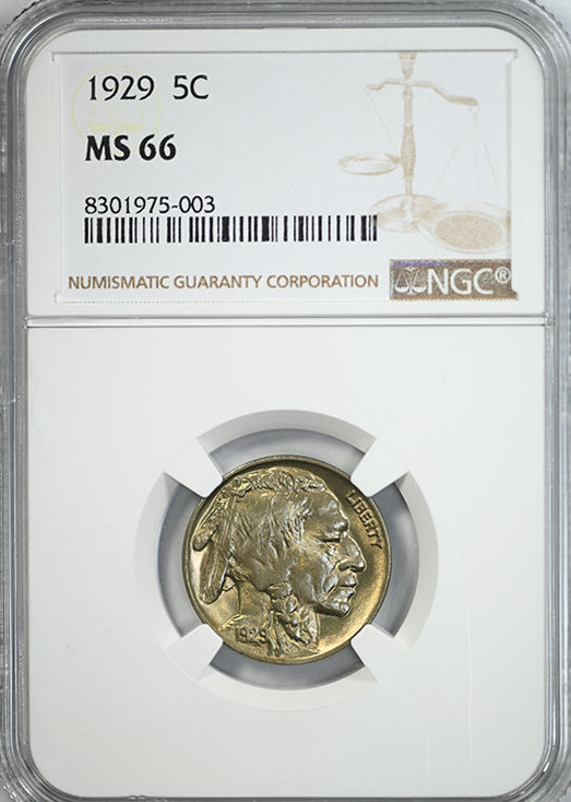 1929 Buffalo Nickel 5C NGC MS66