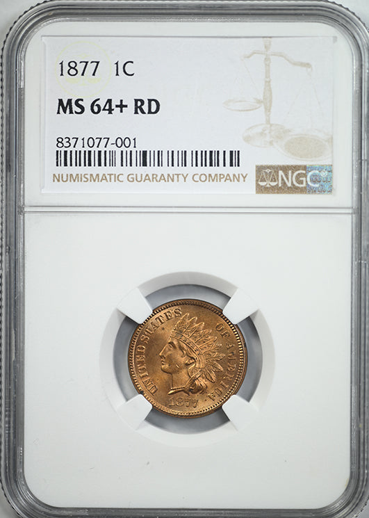1877 Indian Head Cent 1C NGC MS64+RD