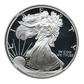 1995-W Proof American Silver Eagle S$1 NGC PF69 Ultra Cameo - Anniversary Set