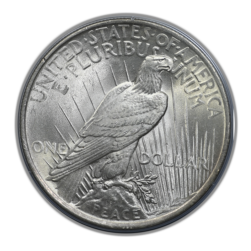 1924 Peace Dollar $1 PCGS Rattler MS64 CAC Reverse
