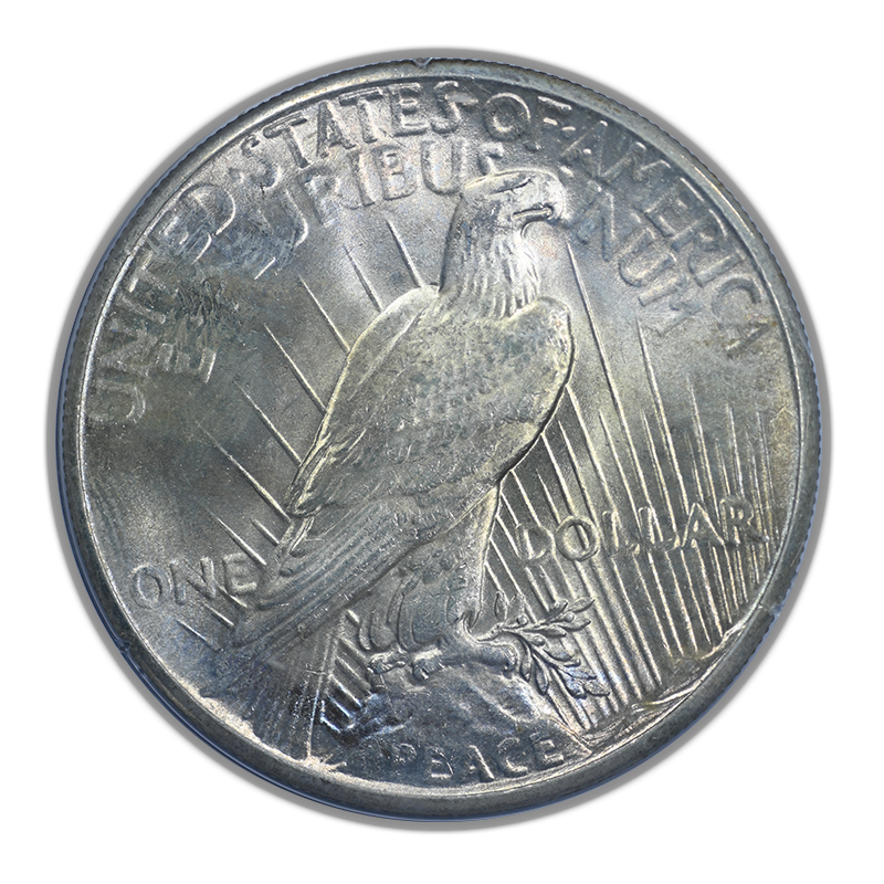 1926 Peace Dollar $1 PCGS Rattler MS65