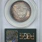1904 Barber Half Dollar 50C PCGS MS61 OGH - TONED!