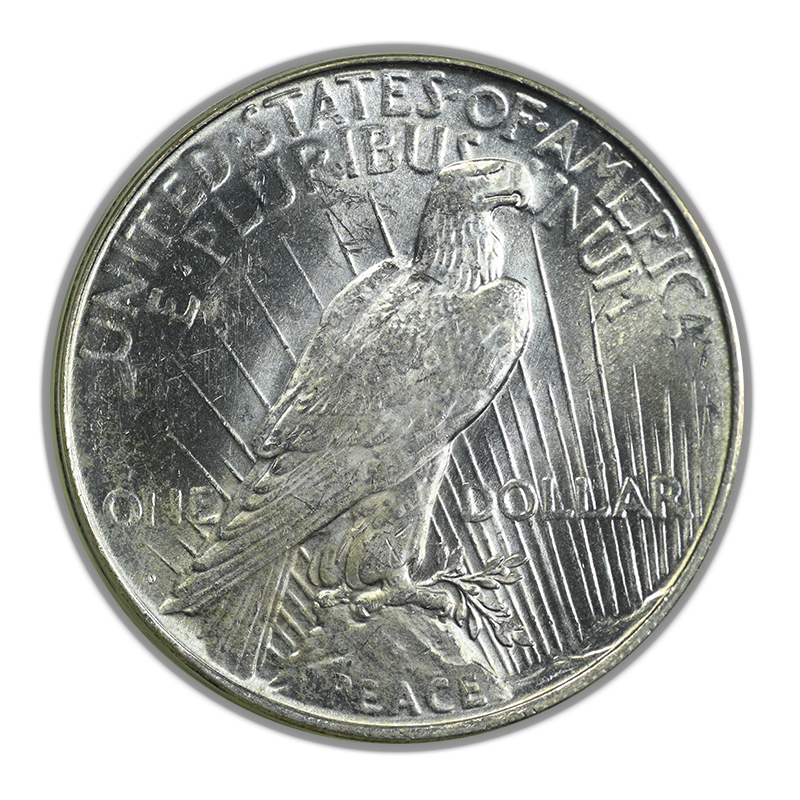 1923-D Peace Dollar $1 PCGS MS62 OGH Reverse