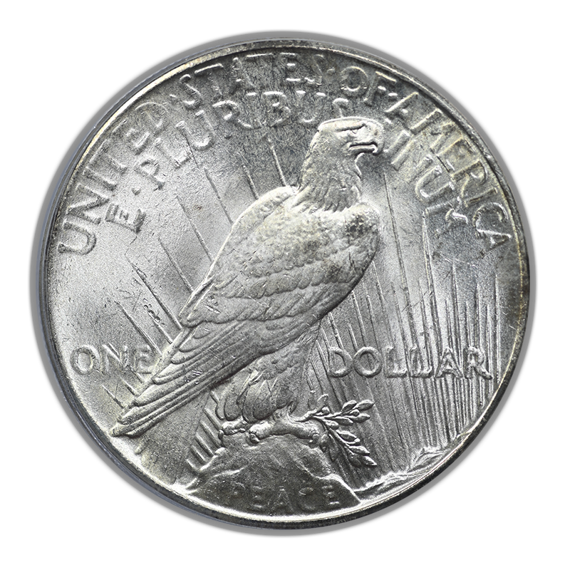 1926 Peace Dollar $1 PCGS MS65 OGH Reverse