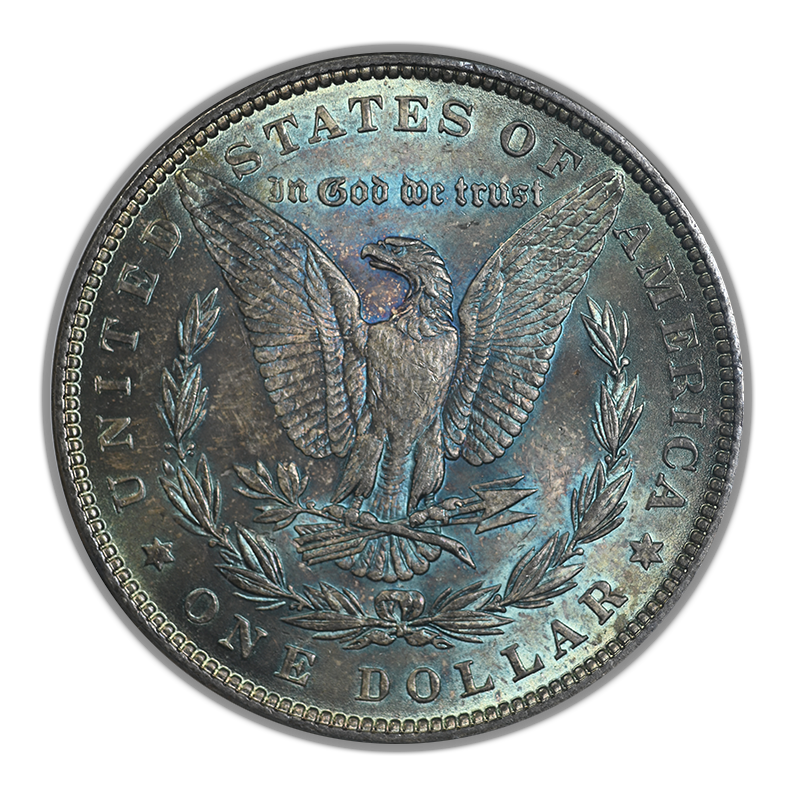 1882 Morgan Dollar $1 ANACS Soapbox MS64 Reverse