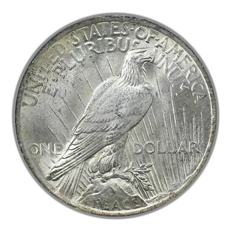 1923 Peace Dollar $1 ANACS Soapbox MS64